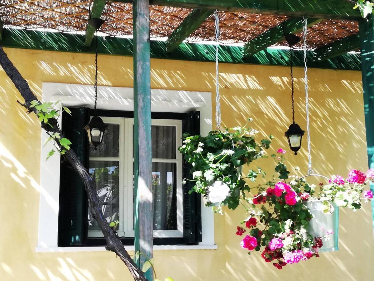 Garden House In Corfu Villa Corfu  Luaran gambar