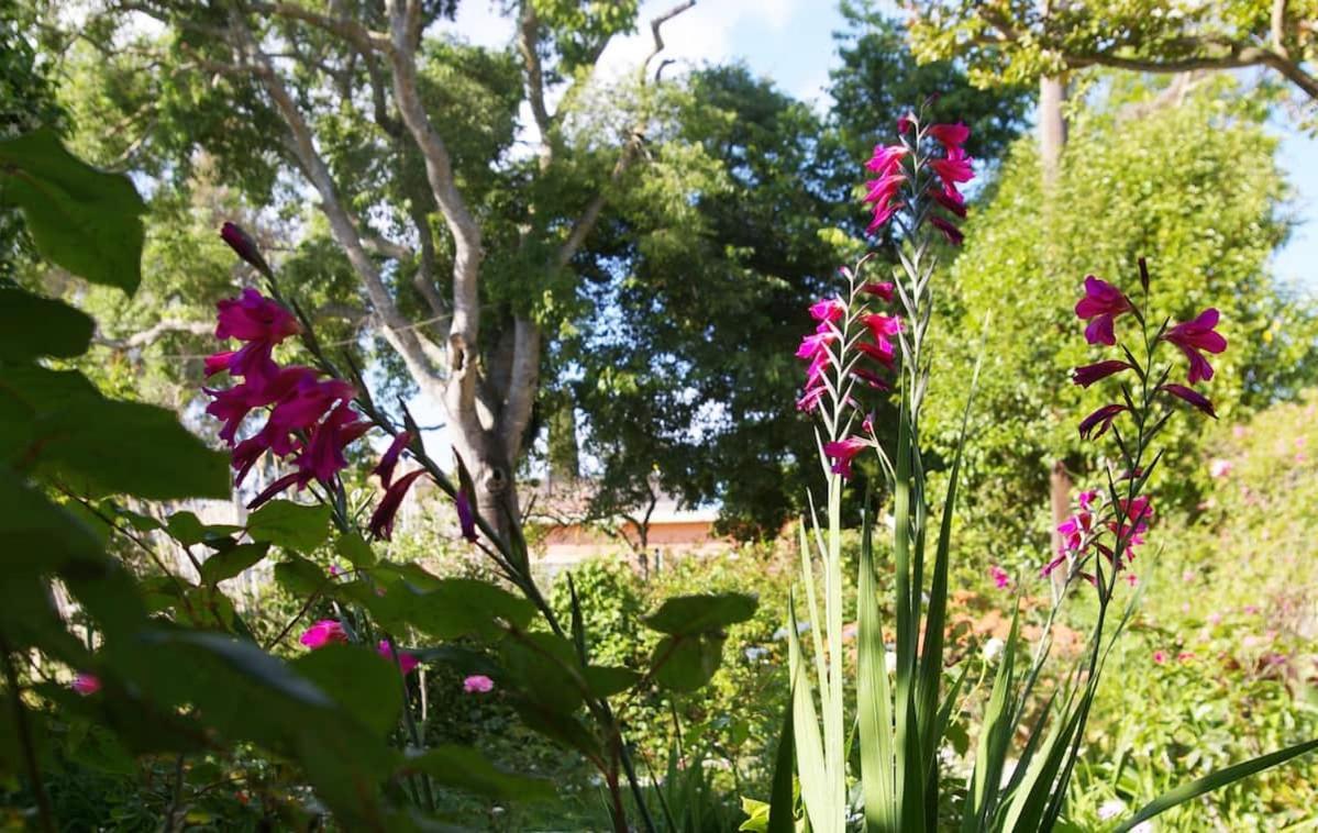 Garden House In Corfu Villa Corfu  Luaran gambar