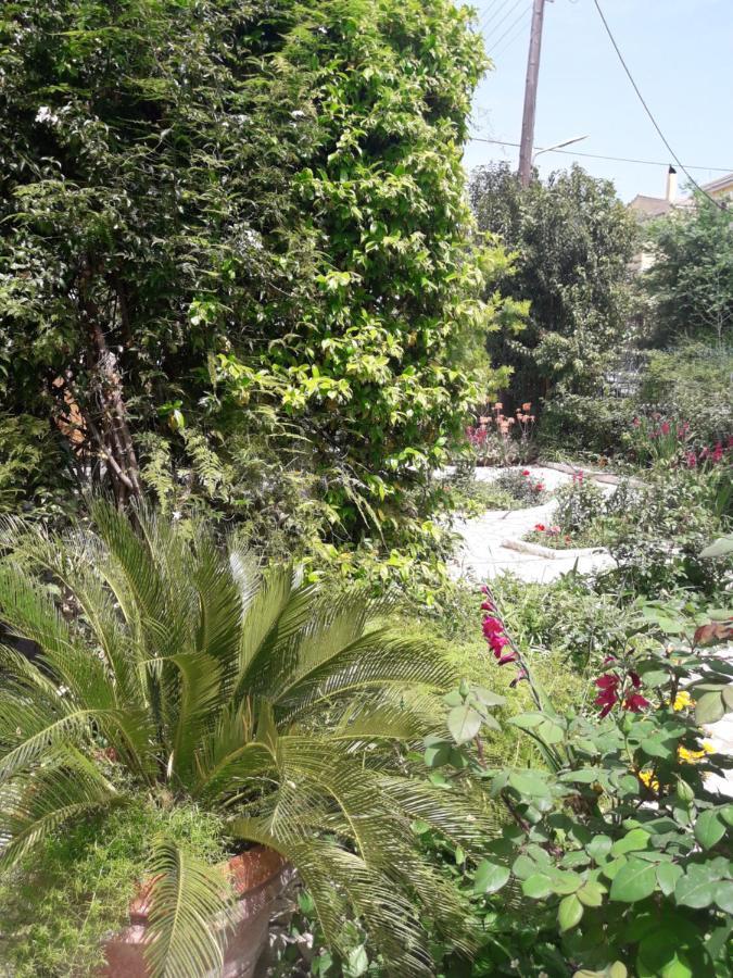 Garden House In Corfu Villa Corfu  Luaran gambar